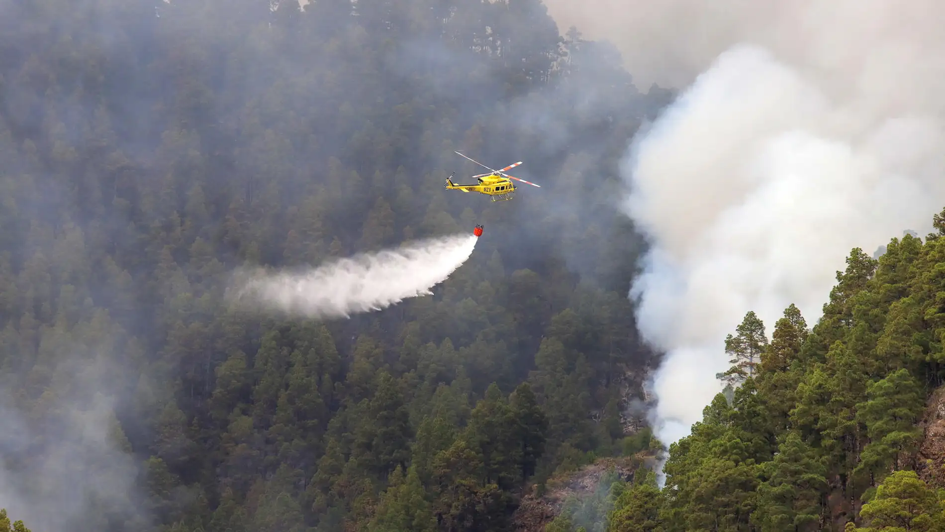 Medios aéreos combaten el fuego en el incendio forestal declarado en la isla de La Palma