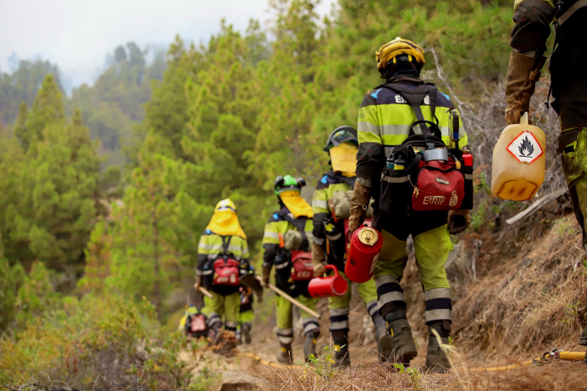 El incendio de La Palma se da por estabilizado. Ya no hay frentes activos El incendio de La Palma se da por estabilizado. Ya no hay frentes activos