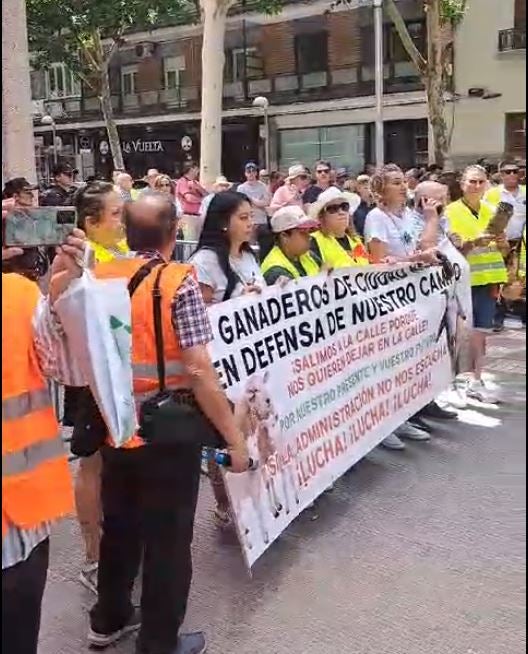 Los ganaderos salen a la calle para pedir compensaciones por las pérdidas ocasionadas por la viruela ovina Los ganaderos salen a la calle para pedir compensaciones por las pérdidas ocasionadas por la viruela ovina