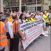 Manifestación ganaderos en Ciudad Real