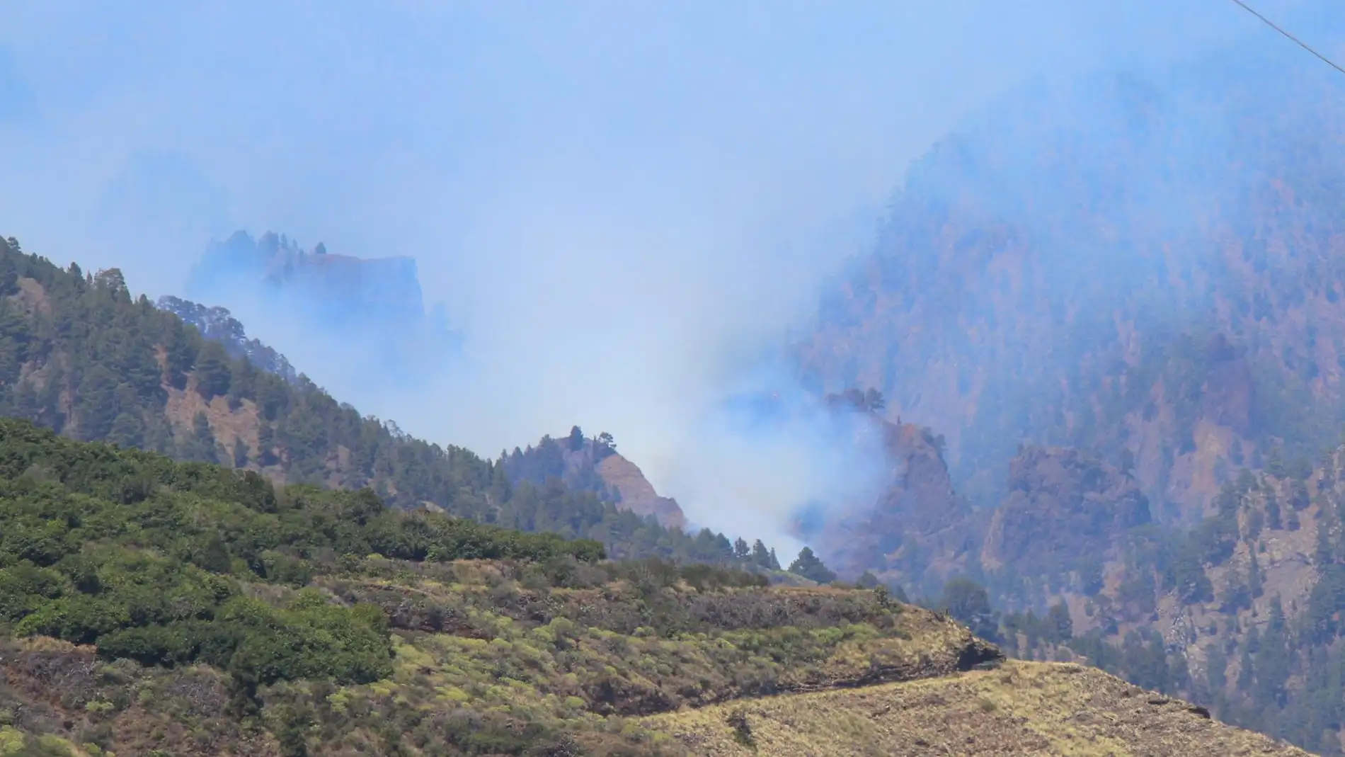 Gran parte del incendio declarado el pasado sábado en La Palma ya no presenta llamas