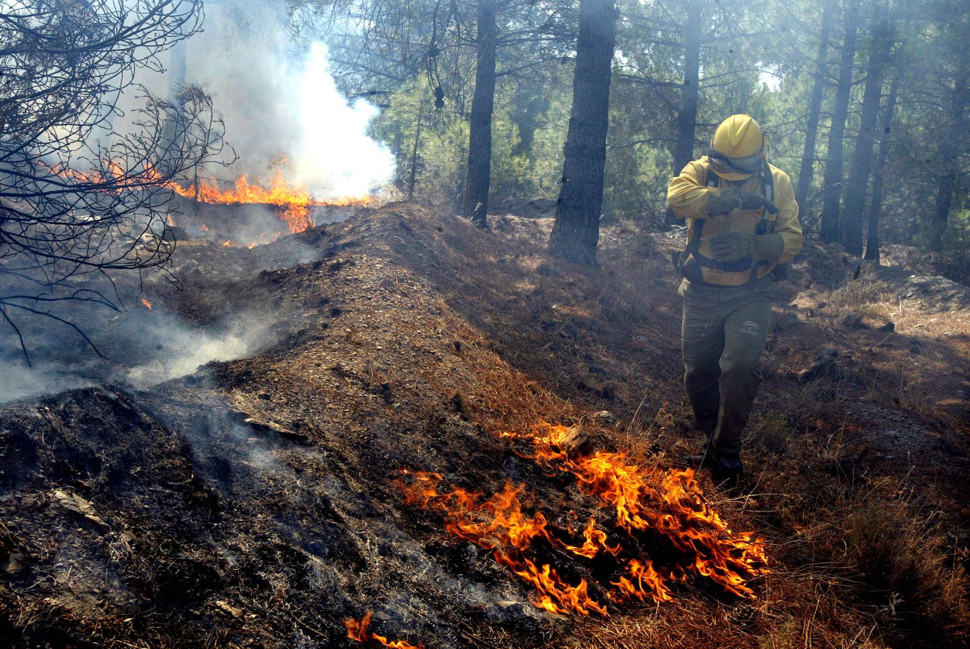 El fuego arrasa ya casi 60.000 hectáreas en seis comunidades autónomas El fuego arrasa ya casi 60.000 hectáreas en seis comunidades autónomas