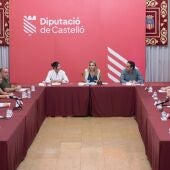 Reunión entre Marta Barrachina y representantes municipales en la Diputación de Castellón