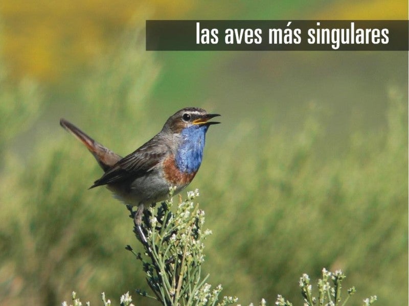 Tino García: "El ecoturismo en Palencia está recuperando los niveles prepandemia" Tino García: "El ecoturismo en Palencia está recuperando los niveles prepandemia"