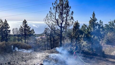 Los operarios enfrían en terreno en el incendio de La Palma que ya está controlado