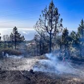 Los operarios enfrían en terreno en el incendio de La Palma que ya está controlado