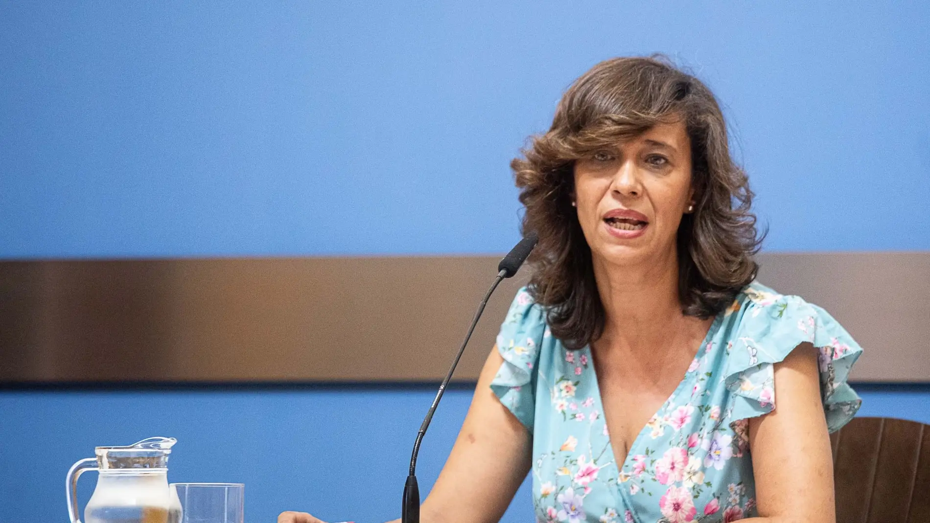 La consejera de Políticas Sociales, Marián Orós, durante su comparecencia