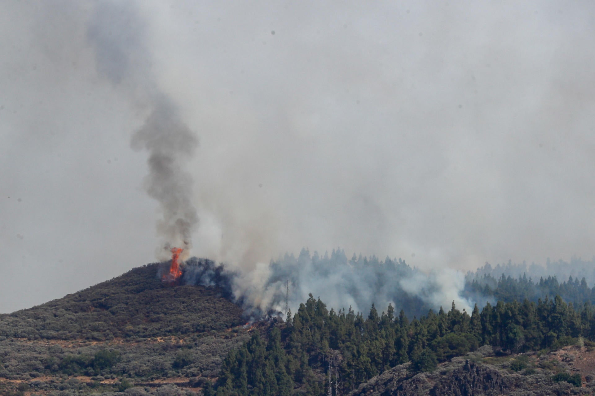 Arde la cumbre de Gran Canaria. Es el segundo gran incendio forestal registrado en Canarias en 15 días Arde la cumbre de Gran Canaria. Es el segundo gran incendio forestal registrado en Canarias en 15 días