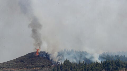 Segundo gran incendio forestal regisrado en Canarias en 15 días | Tejeda | Gran Canaria