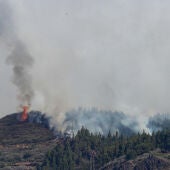 Segundo gran incendio forestal regisrado en Canarias en 15 días | Tejeda | Gran Canaria