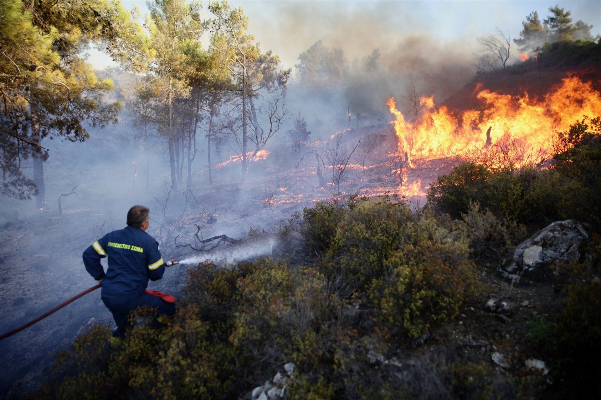 Arde el Mediterráneo: Más de 30 muertos en Argelia y miles de evacuados por los incendios en Italia, Grecia y Portugal Arde el Mediterráneo: Más de 30 muertos en Argelia y miles de evacuados por los incendios en Italia, Grecia y Portugal