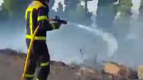 Incendio Forestal en Gran Canaria Incendio Forestal en Gran Canaria