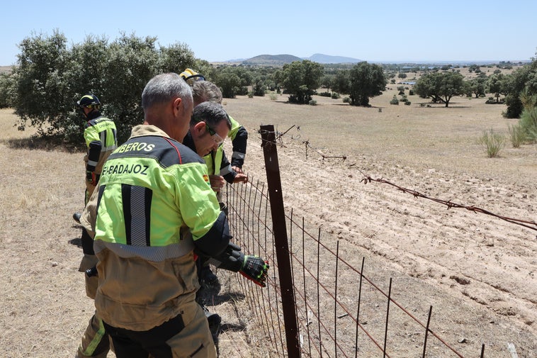 La avioneta siniestrada en las inmediaciones de Proserpina en Mérida, partió el lunes de Salamanca y fue hallada este martes La avioneta siniestrada en las inmediaciones de Proserpina en Mérida, partió el lunes de Salamanca y fue hallada este martes