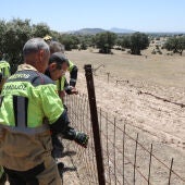 La avioneta siniestrada en las inmediaciones de Proserpina en Mérida, partió el lunes de Salamanca y fue hallada este martes