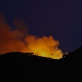 Incendio en Gran Canaria | El fuego sigue sin avanzar y las perspectivas son buenas