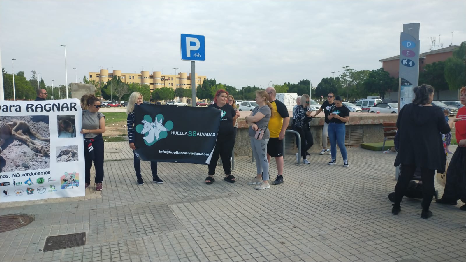 Eloi Sarrió: " Hay que hacer cumplir la obligatoriedad de que todos los perros lleven microchip para identificar a sus dueños" Eloi Sarrió: " Hay que hacer cumplir la obligatoriedad de que todos los perros lleven microchip para identificar a sus dueños"