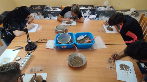 Equipo trabajando en catalogaci&oacute;n de restos hallados en Castillejo del Bonete (Terrinches)