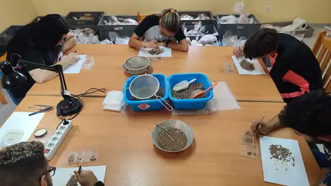 Equipo trabajando en catalogación de restos hallados en Castillejo del Bonete (Terrinches) Equipo trabajando en catalogación de restos hallados en Castillejo del Bonete (Terrinches)