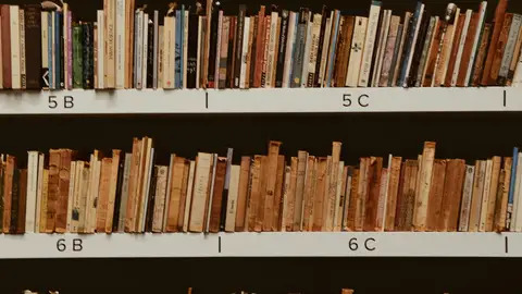 Archivo De Libros En Estantes De Libros./Foto: Pexels Archivo De Libros En Estantes De Libros./Foto: Pexels