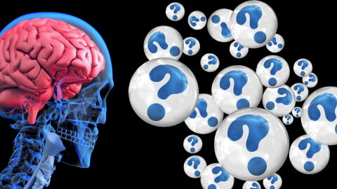 AFA 'Miguel Hern&aacute;ndez' presenta las II Jornadas que organiza en torno al D&iacute;a Mundial del Alzheimer