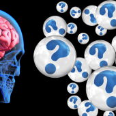 AFA 'Miguel Hernández' presenta las II Jornadas que organiza en torno al Día Mundial del Alzheimer