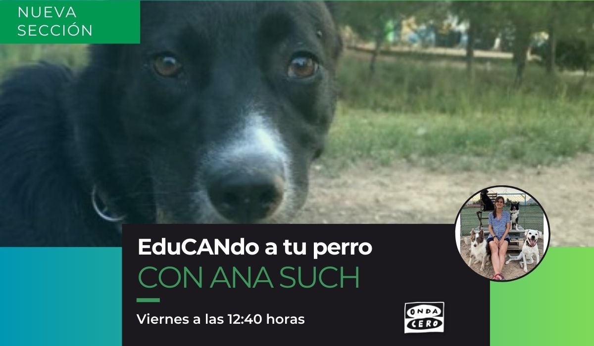 Edu-CAN-do a tu perro (28/07/2023) Edu-CAN-do a tu perro (28/07/2023)