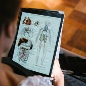Una persona estudia anatomía a través de una tablet