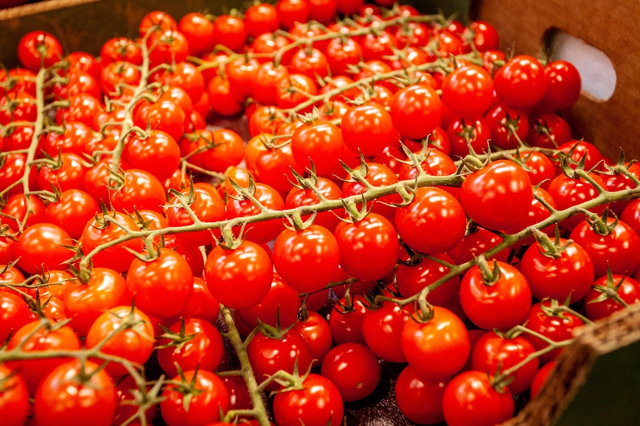 Alerta por un brote de salmonella vinculado a los tomates cherry: 92 casos mundiales y un fallecido Alerta por un brote de salmonella vinculado a los tomates cherry: 92 casos mundiales y un fallecido