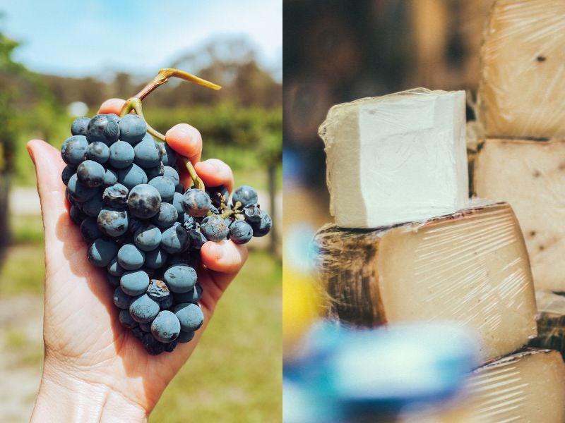 Las diferentes variedades de la uva y los quesos que están de moda Las diferentes variedades de la uva y los quesos que están de moda