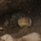 Imagen de archivo de Atapuerca