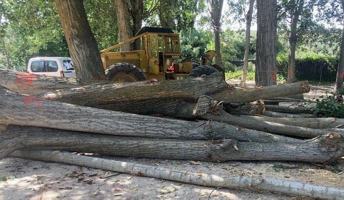 Más de uno Alcalá 01/08/2023 Más de uno Alcalá 01/08/2023