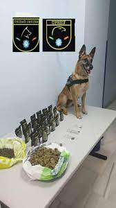 Más de Uno Marbella 12.20. Miércoles 2 agosto 2023 Más de Uno Marbella 12.20. Miércoles 2 agosto 2023