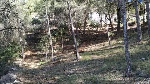 Santa Eulària lanza la cuarta edición de las ayudas para la creación de fajas de autoprotección contra incendios Santa Eulària lanza la cuarta edición de las ayudas para la creación de fajas de autoprotección contra incendios