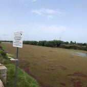 Aguas estancadas Fortaleny Rio Júcar
