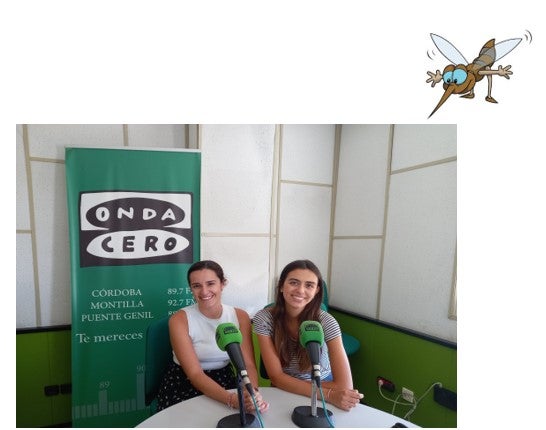 Los pesados y molestos mosquitos... Los pesados y molestos mosquitos...