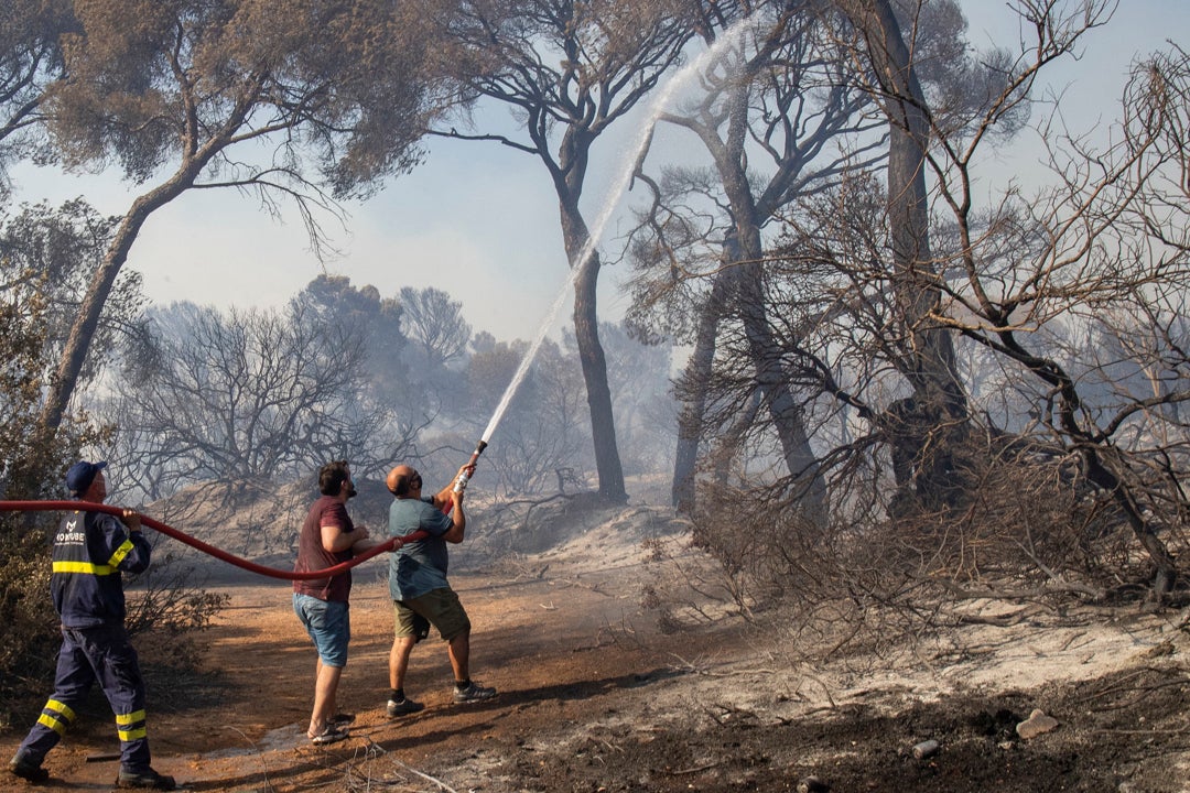 El incendio de Puerto Real obliga a desalojar varias viviendas de la zona por precaución El incendio de Puerto Real obliga a desalojar varias viviendas de la zona por precaución