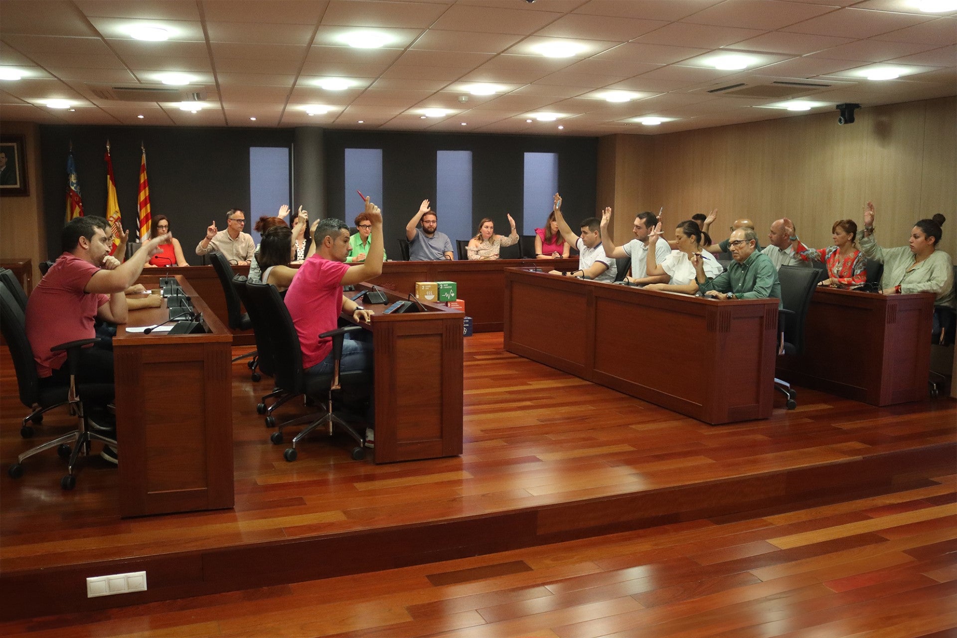 El pleno da luz verde a la modernización del polígono industrial el Romeral El pleno da luz verde a la modernización del polígono industrial el Romeral