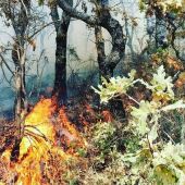El incendio forestal declarado en Villasbuenas de Gata, en nivel 0 de peligrosidad y con evolución favorable