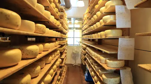 Muere un hombre en Italia tras caerle encima 15000 quesos de Grana Padano Muere un hombre en Italia tras caerle encima 15000 quesos de Grana Padano