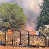 Parcela ardiendo en Huerta del Hambre (Bonares)