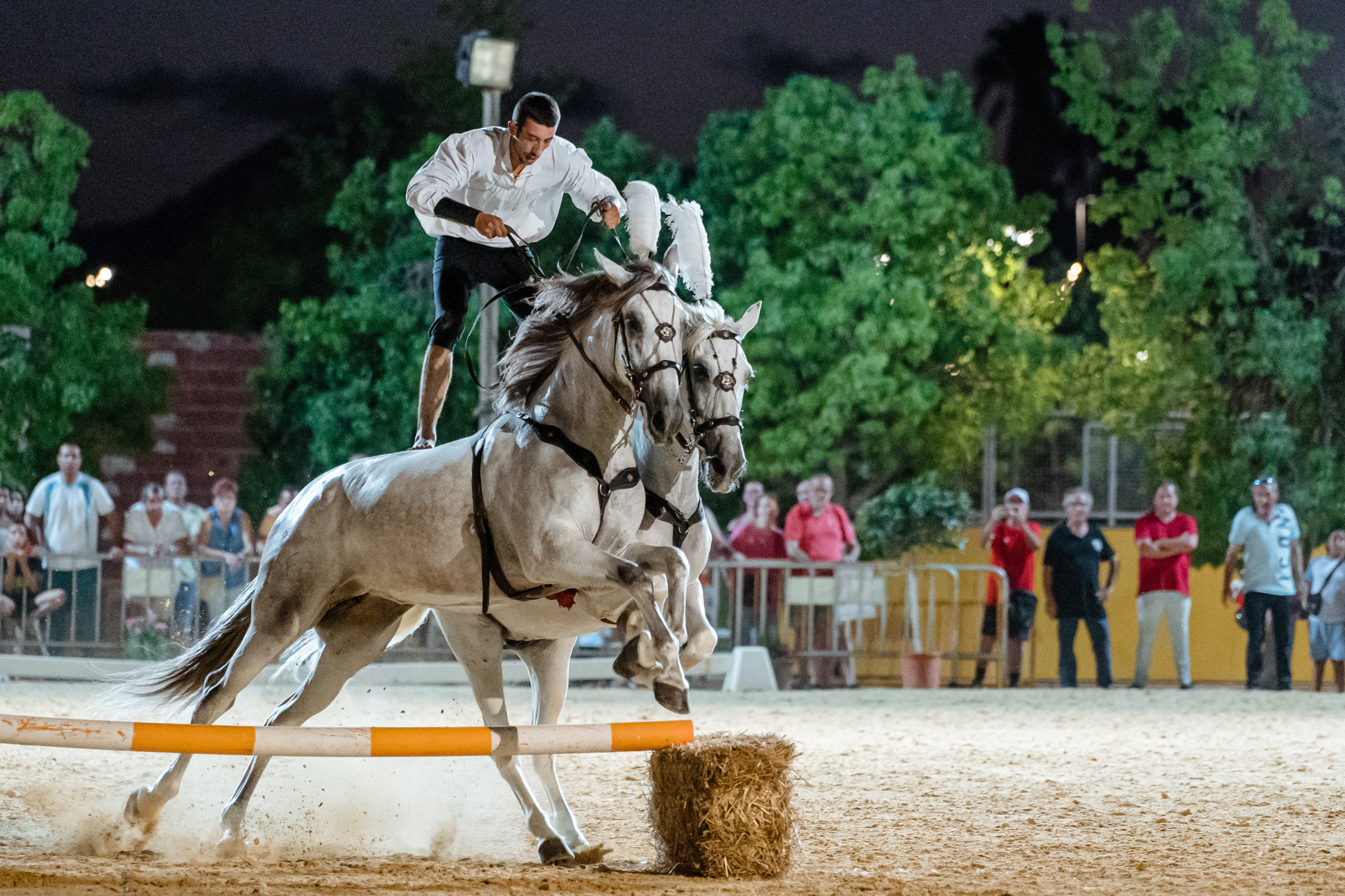 Más de 40.000 personas han visitado esta edición de FEGADO Más de 40.000 personas han visitado esta edición de FEGADO