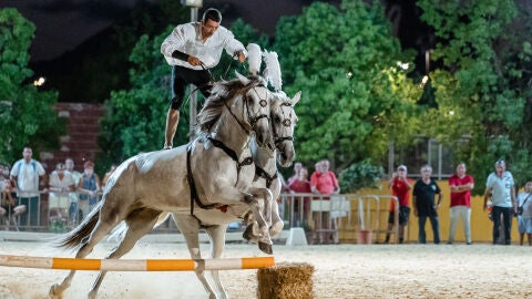 M&aacute;s de 40.000 personas han visitado esta edici&oacute;n FEGADO