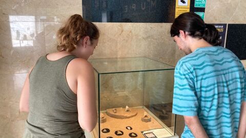 Exposici&oacute;n de dientes de megalod&oacute;n