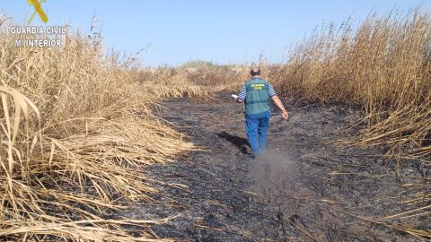  Agente de la Guardia Civil investigando la zona incendiada