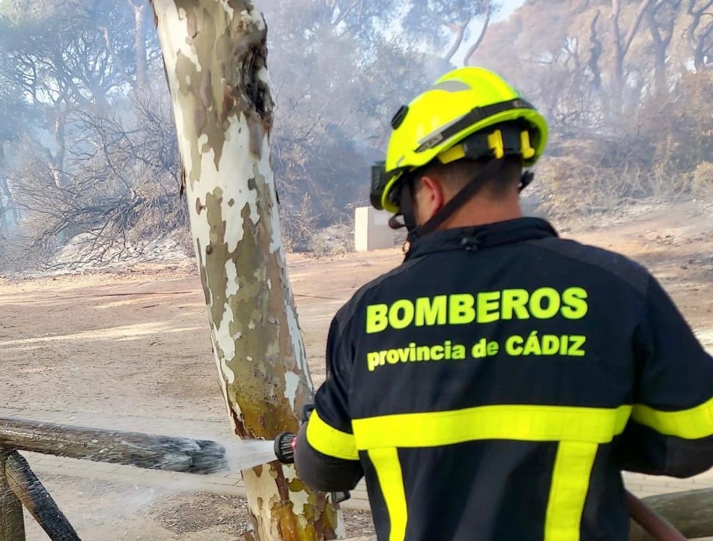 El incendio de El Puerto está controlado, según INFOCA El incendio de El Puerto está controlado, según INFOCA
