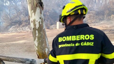 Declarado un nuevo incendio en El Puerto que provoca la suspensi&oacute;n de la circulaci&oacute;n de los trenes