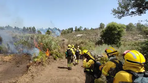 UGT exige dotar a los bomberos forestales del plan INFOEX de Equipamientos individualizados "efectivos" UGT exige dotar a los bomberos forestales del plan INFOEX de Equipamientos individualizados "efectivos"