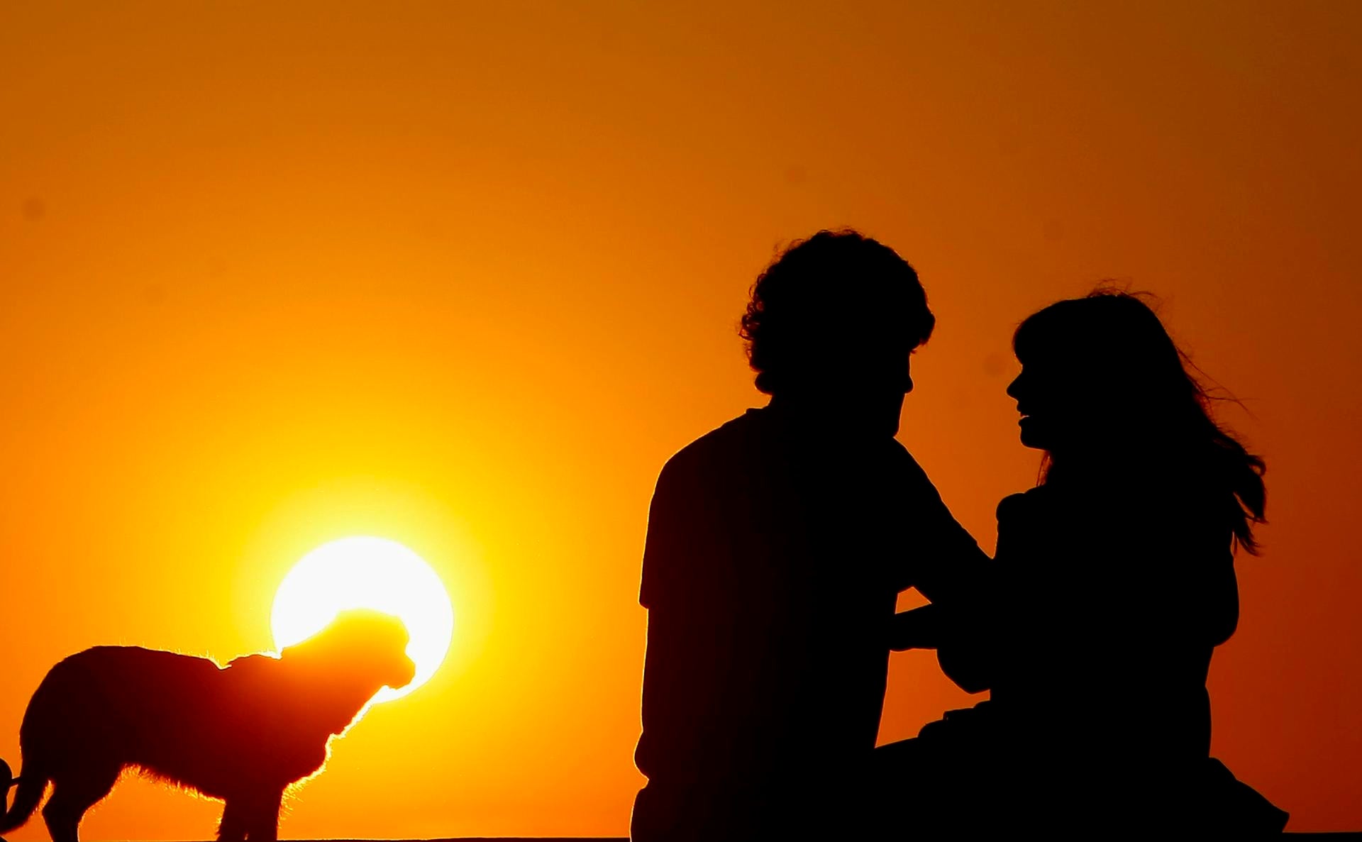 Así son los divorcios con mascota: de los 20 euros al mes, a la custodia compartida Así son los divorcios con mascota: de los 20 euros al mes, a la custodia compartida