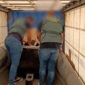 La Guardia Civil detiene a dos personas cuando transportaban por carretera una "narcolancha" que ocultaban en Zafra