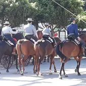 Caballos en la Feria de Málaga Caballos en la Feria de Málaga